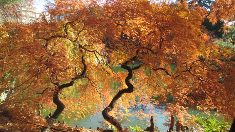 置物 Lilliput Lune ENGLISH GARDEN AUTUMN HUES 置物 Lilliput Lune ENGLISH GARDEN AUTUMN HUES 置物 Lilliput